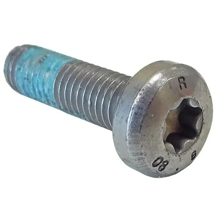 BH55rw Cheese head screw (pt.31)
